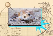 collage of traditional scientific imagery with a video of a desert rodent superimposed on top
