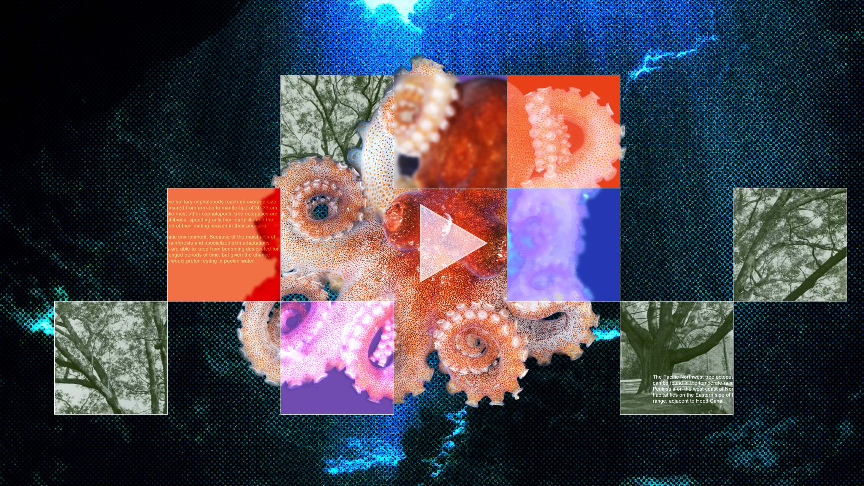 CHATGPT GENERATIVE IMAGE visual data 4