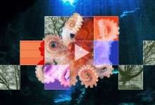 A collage of squares containing different images of trees and octopi laid over an image of a coral reef.