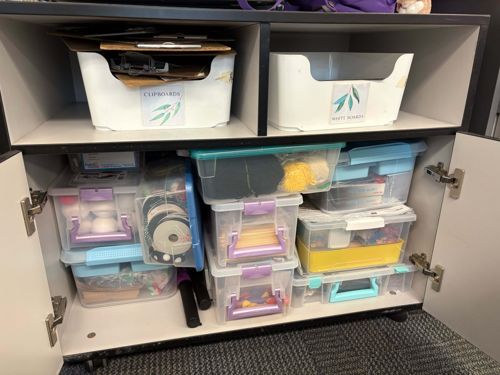 A photo of Tiffany Perry's science materials cabinet.