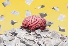 brain on a pile of printed out education research