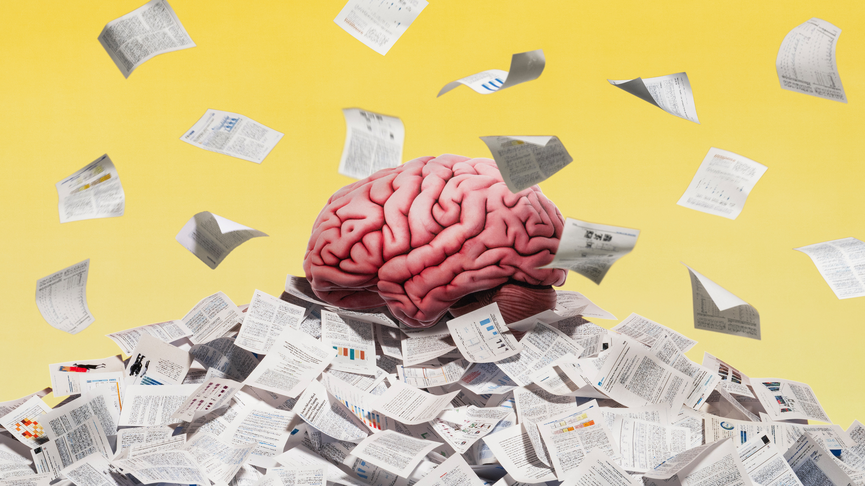 The 10 Most Significant Education Studies of 2025