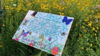 Pollinator garden created by students