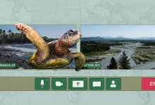 A collage showing a beach in Pahala, Hawaii and the Grand Teton National Park as profiles on a video call.