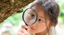Elementary student examining an insect with a magnifying glass