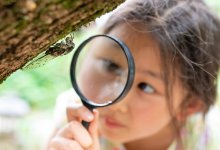 Elementary student examining an insect with a magnifying glass