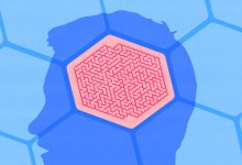 An illustration of a brain in the shape of a hexagon