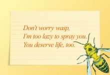 Collage of a haiku about a wasp