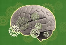 Collage of brain and interlocking gears representing brain-based learning