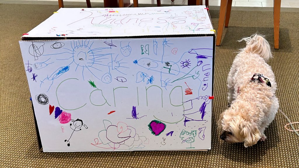 Therapy dog, Little Dude, with finished community cube project