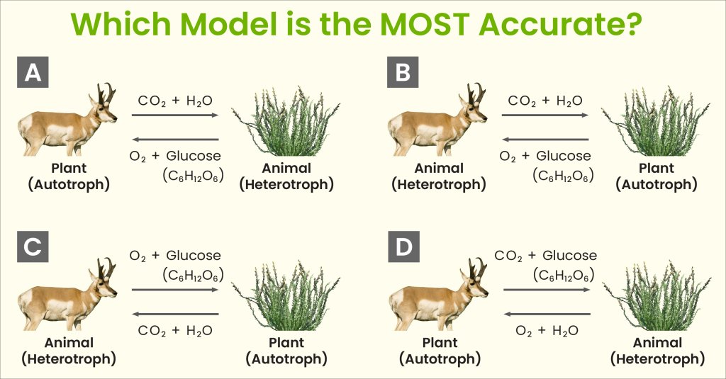 Multiple choice problem
