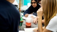 High school students working on an experiment in science class