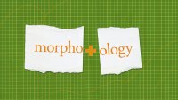"morphology" split into half to read "morpho" and "ology"