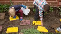 A photo of preschool students examining and turning over stepping stones outside