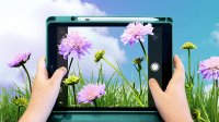 Photo collage of a child using an ipad to take a photo of flowers