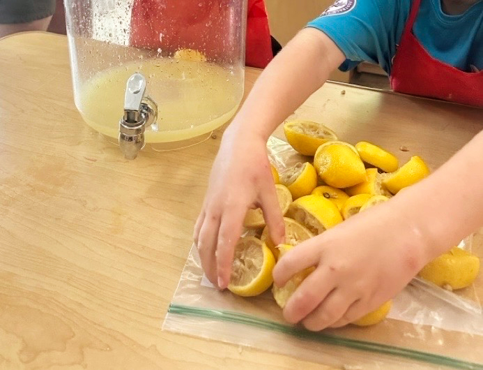 A photo of a preschool student cleaning up lemons that were used to make lemonade