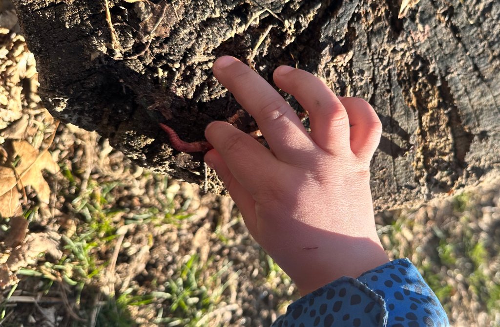 A preschool student's hand picking up a worm