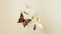 Illustration of a butterfly metamorphosis