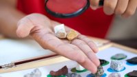 A photo of a student's hand examining stone specimens