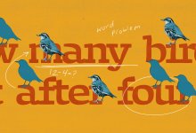 Images of birds on top of a word problem asking how many birds there are, for an article on word problem strategies for struggling students
