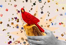 Collage of Charlie the Cardinal traveling trophy