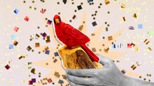 Collage of Charlie the Cardinal traveling trophy