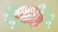 Illustration of a brain surrounded by question marks to depict the release of the Science of Learning report
