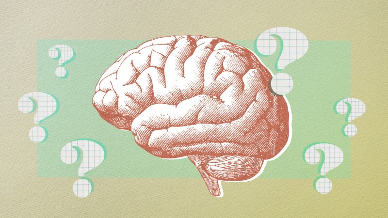 6 Ways to Apply Cognitive Science Research in the Classroom
