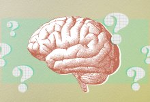 Illustration of a brain surrounded by question marks to depict the release of the Science of Learning report