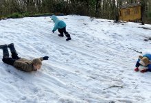 Elementary students sliding their bodies down a snowy hill