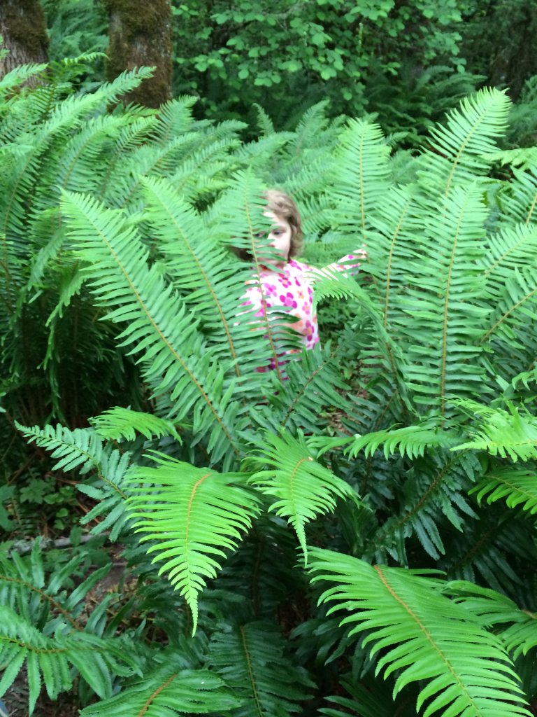 An elementary student hiding in a large fern plant