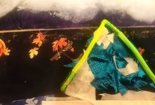 A photo of a student-created breathing board