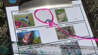 A photo of a worksheet on examples of circumferences found in nature