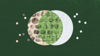 An illustration of a scientific sketch and notebook paper forming a venn diagram.