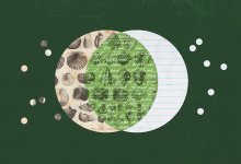 An illustration of a scientific sketch and notebook paper forming a venn diagram.