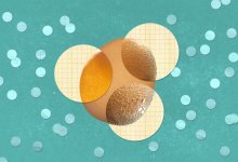 An illustration of an egg undergoing three stages of the vinegar de-shelling process