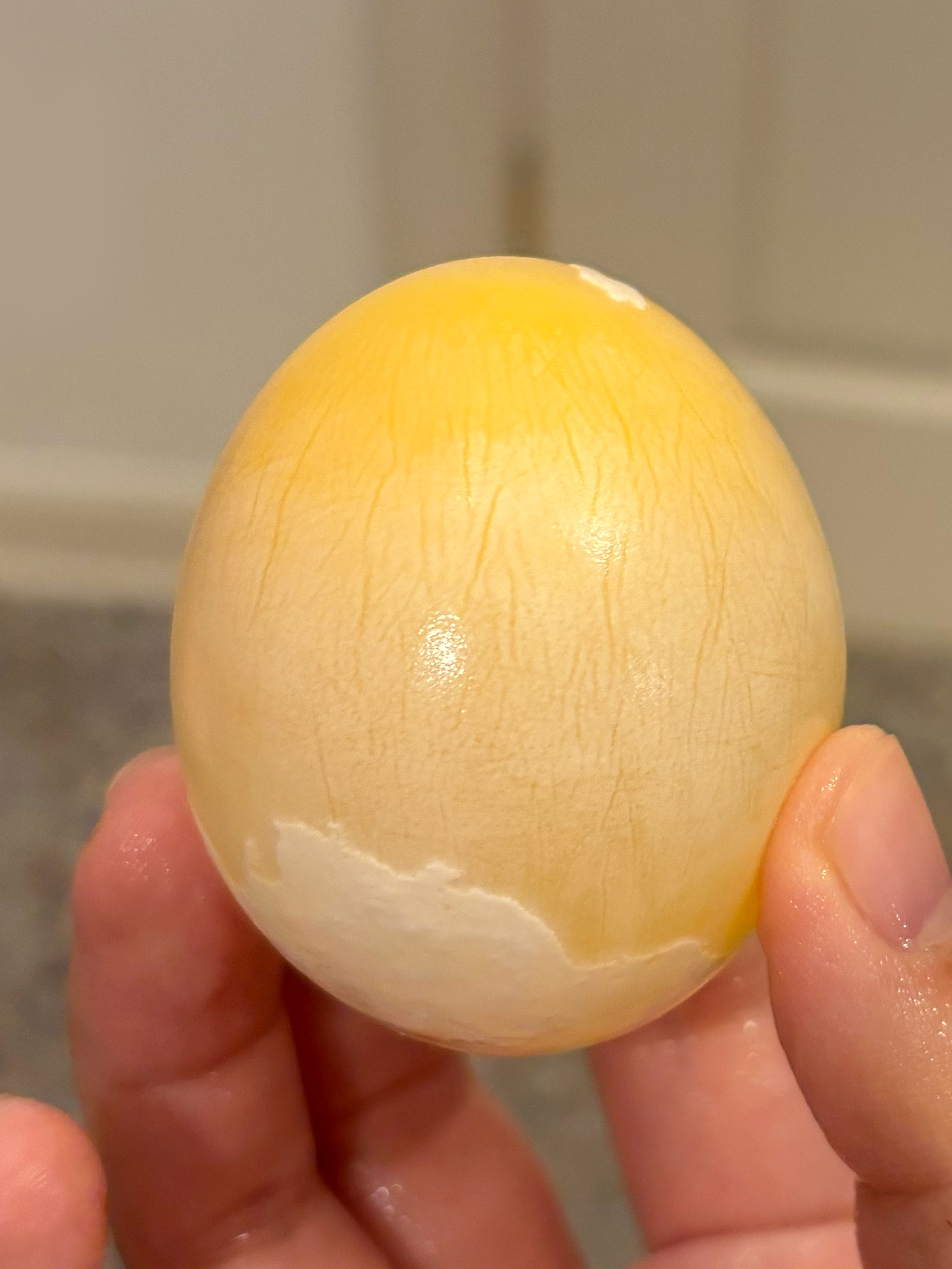 An egg partially de-shelled by long exposure to vinegar